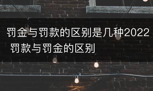 罚金与罚款的区别是几种2022 罚款与罚金的区别