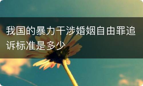 我国的暴力干涉婚姻自由罪追诉标准是多少
