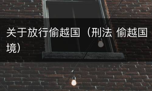 关于放行偷越国（刑法 偷越国境）