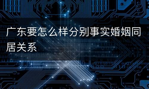 广东要怎么样分别事实婚姻同居关系