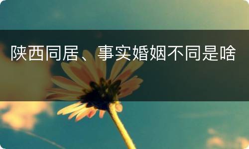 陕西同居、事实婚姻不同是啥