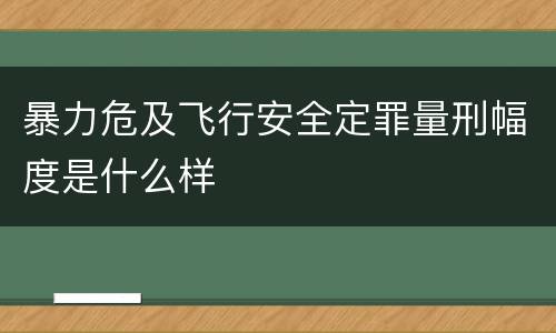 暴力危及飞行安全定罪量刑幅度是什么样