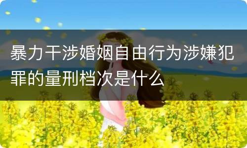 暴力干涉婚姻自由行为涉嫌犯罪的量刑档次是什么