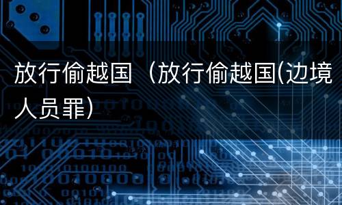 放行偷越国（放行偷越国(边境人员罪）
