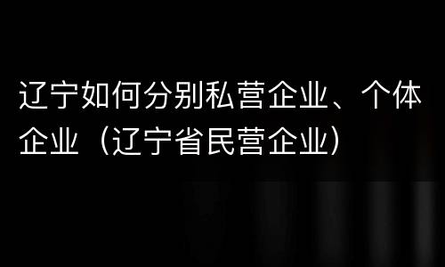 辽宁如何分别私营企业、个体企业（辽宁省民营企业）