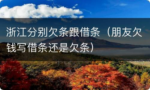 浙江分别欠条跟借条（朋友欠钱写借条还是欠条）
