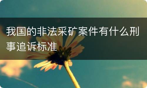 我国的非法采矿案件有什么刑事追诉标准