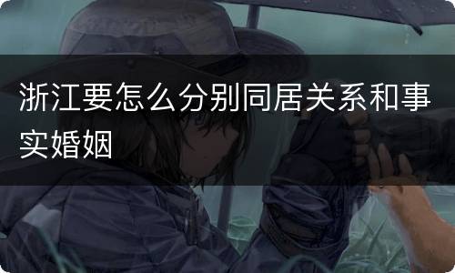 浙江要怎么分别同居关系和事实婚姻