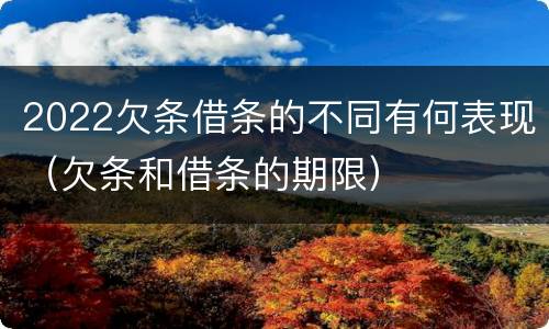 2022欠条借条的不同有何表现（欠条和借条的期限）
