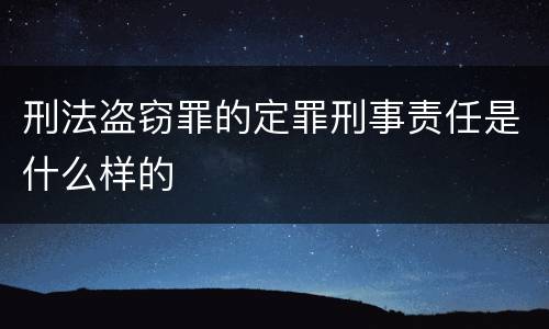 刑法盗窃罪的定罪刑事责任是什么样的