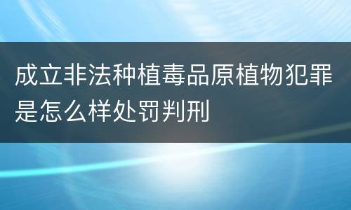 成立非法种植毒品原植物犯罪是怎么样处罚判刑