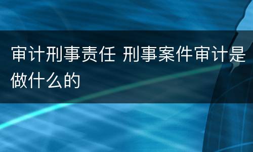 审计刑事责任 刑事案件审计是做什么的