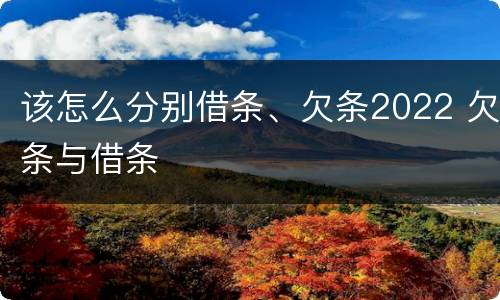 该怎么分别借条、欠条2022 欠条与借条