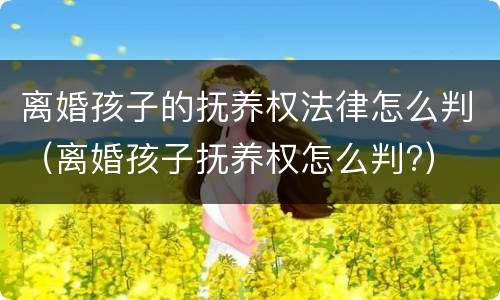 离婚孩子的抚养权法律怎么判（离婚孩子抚养权怎么判?）