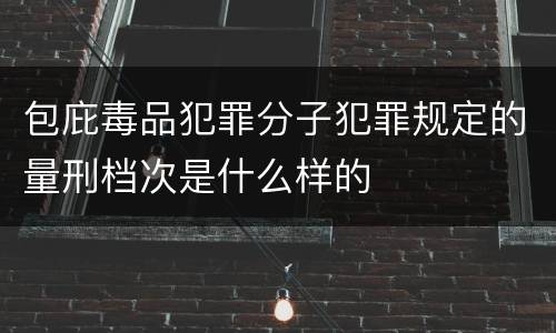 包庇毒品犯罪分子犯罪规定的量刑档次是什么样的
