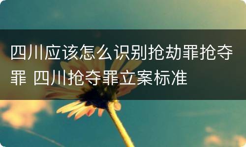 四川应该怎么识别抢劫罪抢夺罪 四川抢夺罪立案标准