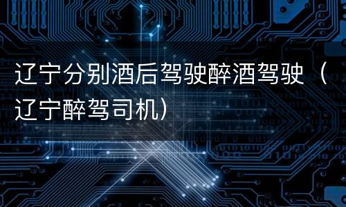 辽宁分别酒后驾驶醉酒驾驶(辽宁醉驾司机)