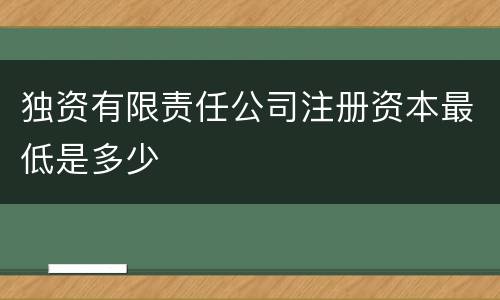 独资有限责任公司注册资本最低是多少