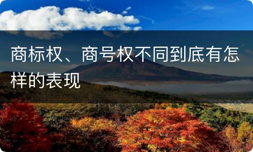 商标权、商号权不同到底有怎样的表现