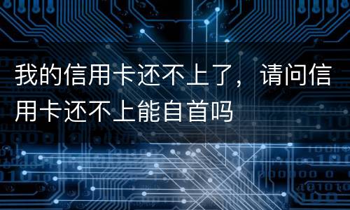我的信用卡还不上了，请问信用卡还不上能自首吗