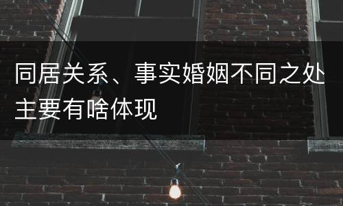 同居关系、事实婚姻不同之处主要有啥体现