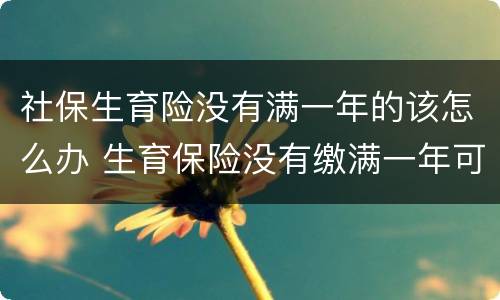 社保生育险没有满一年的该怎么办 生育保险没有缴满一年可以报吗?