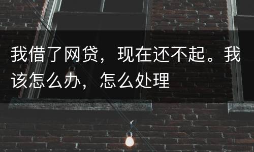 我借了网贷，现在还不起。我该怎么办，怎么处理