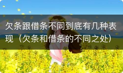欠条跟借条不同到底有几种表现（欠条和借条的不同之处）