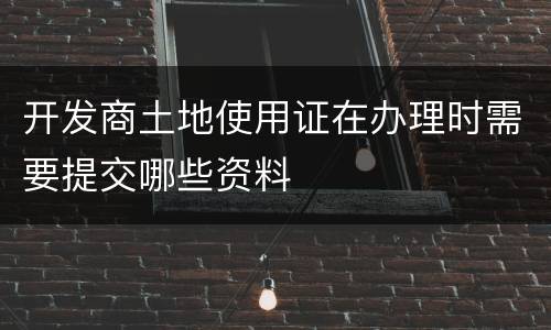 开发商土地使用证在办理时需要提交哪些资料