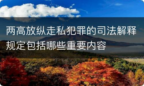 两高放纵走私犯罪的司法解释规定包括哪些重要内容