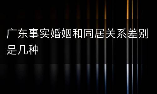 广东事实婚姻和同居关系差别是几种