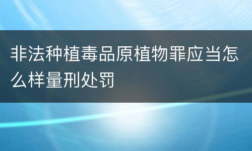 非法种植毒品原植物罪应当怎么样量刑处罚