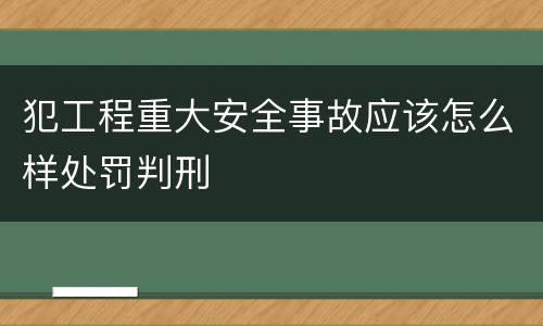 犯工程重大安全事故应该怎么样处罚判刑