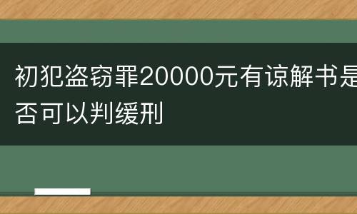 初犯盗窃罪20000元有谅解书是否可以判缓刑