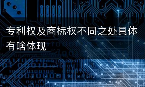 专利权及商标权不同之处具体有啥体现