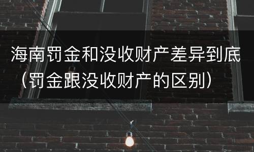 海南罚金和没收财产差异到底（罚金跟没收财产的区别）