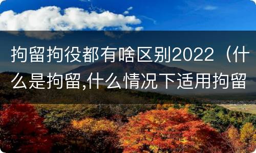 拘留拘役都有啥区别2022（什么是拘留,什么情况下适用拘留）