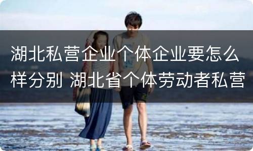 湖北私营企业个体企业要怎么样分别 湖北省个体劳动者私营企业协会