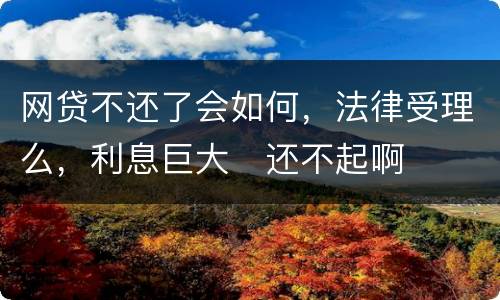 网贷不还了会如何，法律受理么，利息巨大
还不起啊