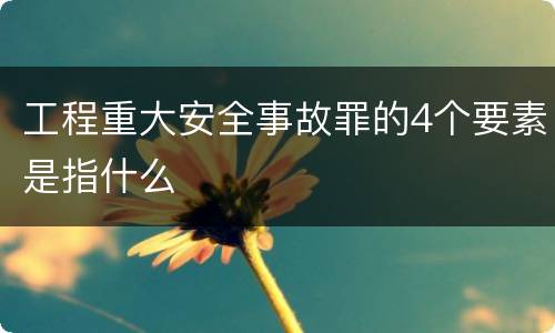 工程重大安全事故罪的4个要素是指什么