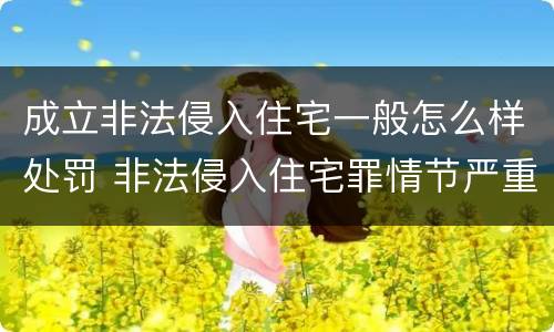 成立非法侵入住宅一般怎么样处罚 非法侵入住宅罪情节严重情形