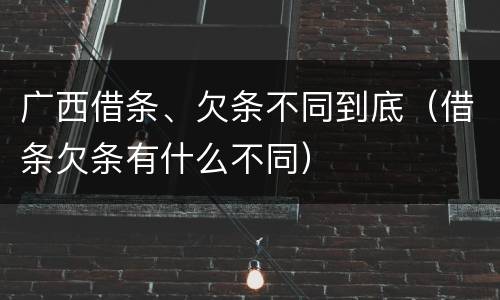广西借条、欠条不同到底（借条欠条有什么不同）