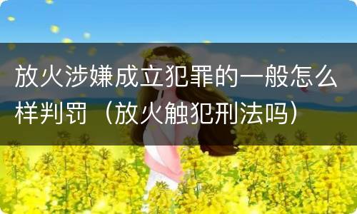 放火涉嫌成立犯罪的一般怎么样判罚（放火触犯刑法吗）