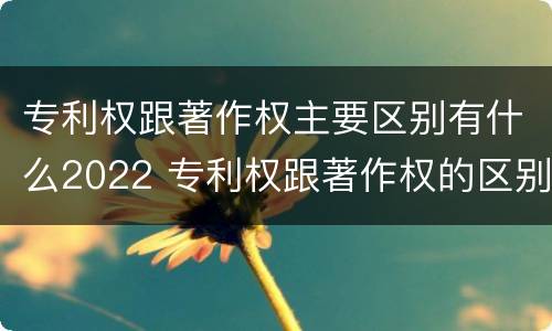 专利权跟著作权主要区别有什么2022 专利权跟著作权的区别
