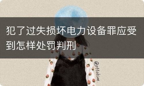 犯了过失损坏电力设备罪应受到怎样处罚判刑