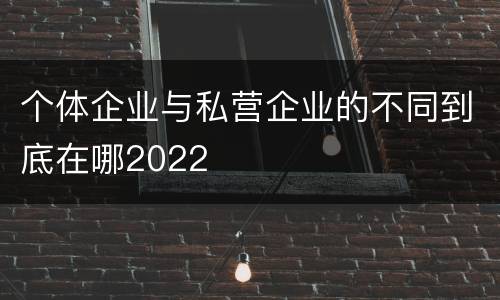 个体企业与私营企业的不同到底在哪2022