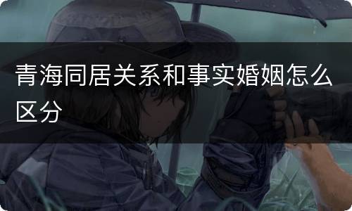 青海同居关系和事实婚姻怎么区分