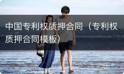 中国专利权质押合同（专利权质押合同模板）