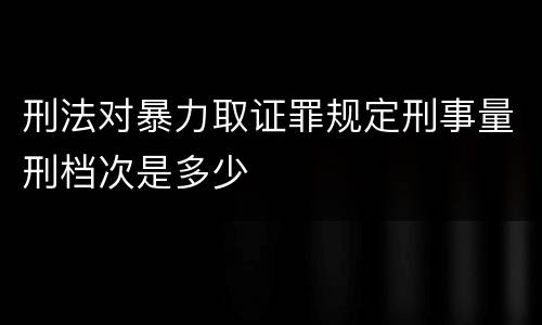 刑法对暴力取证罪规定刑事量刑档次是多少
