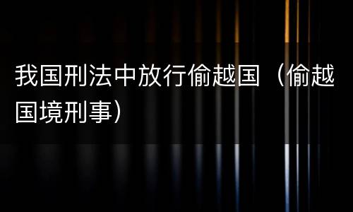 我国刑法中放行偷越国（偷越国境刑事）